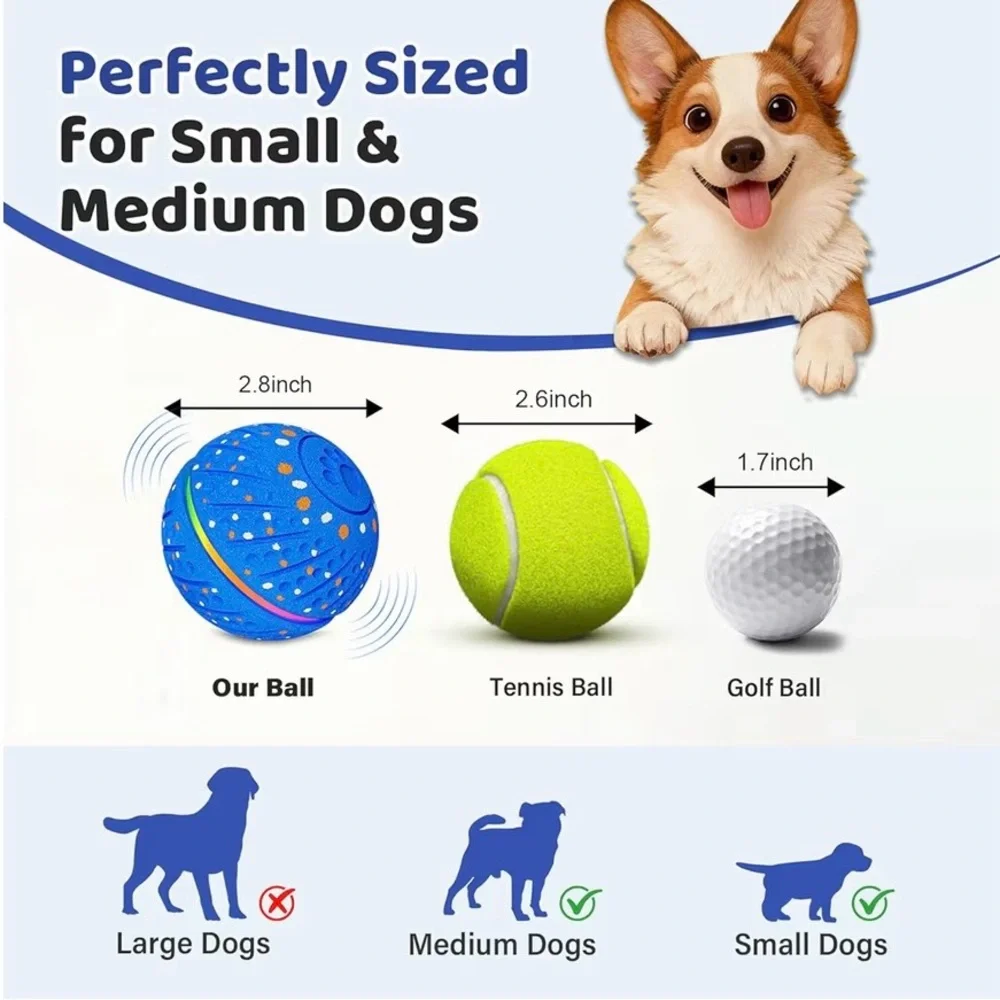 Blue Dog Toy Ball